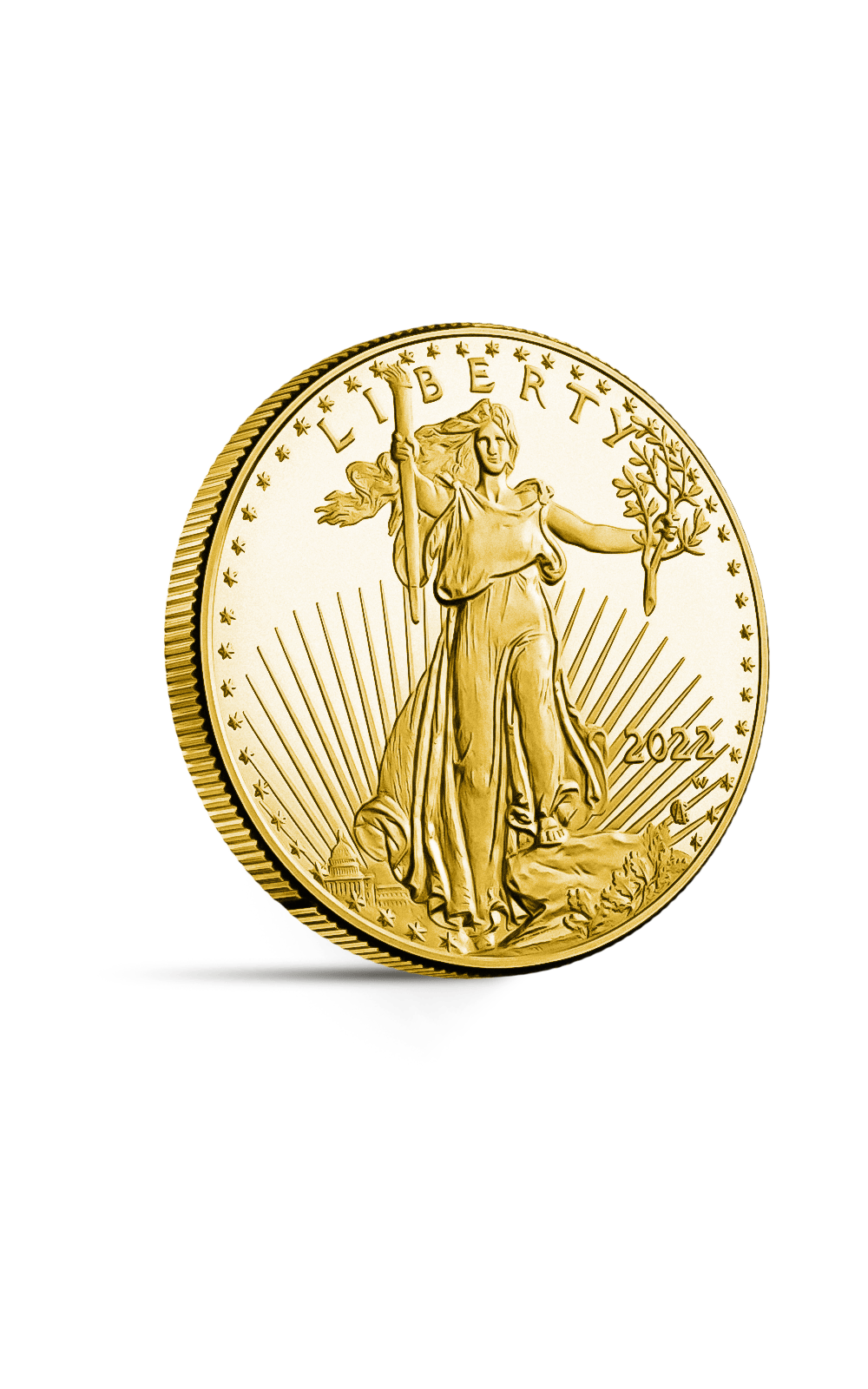 Pièce 25 Dollars American Eagle - GoldUnion