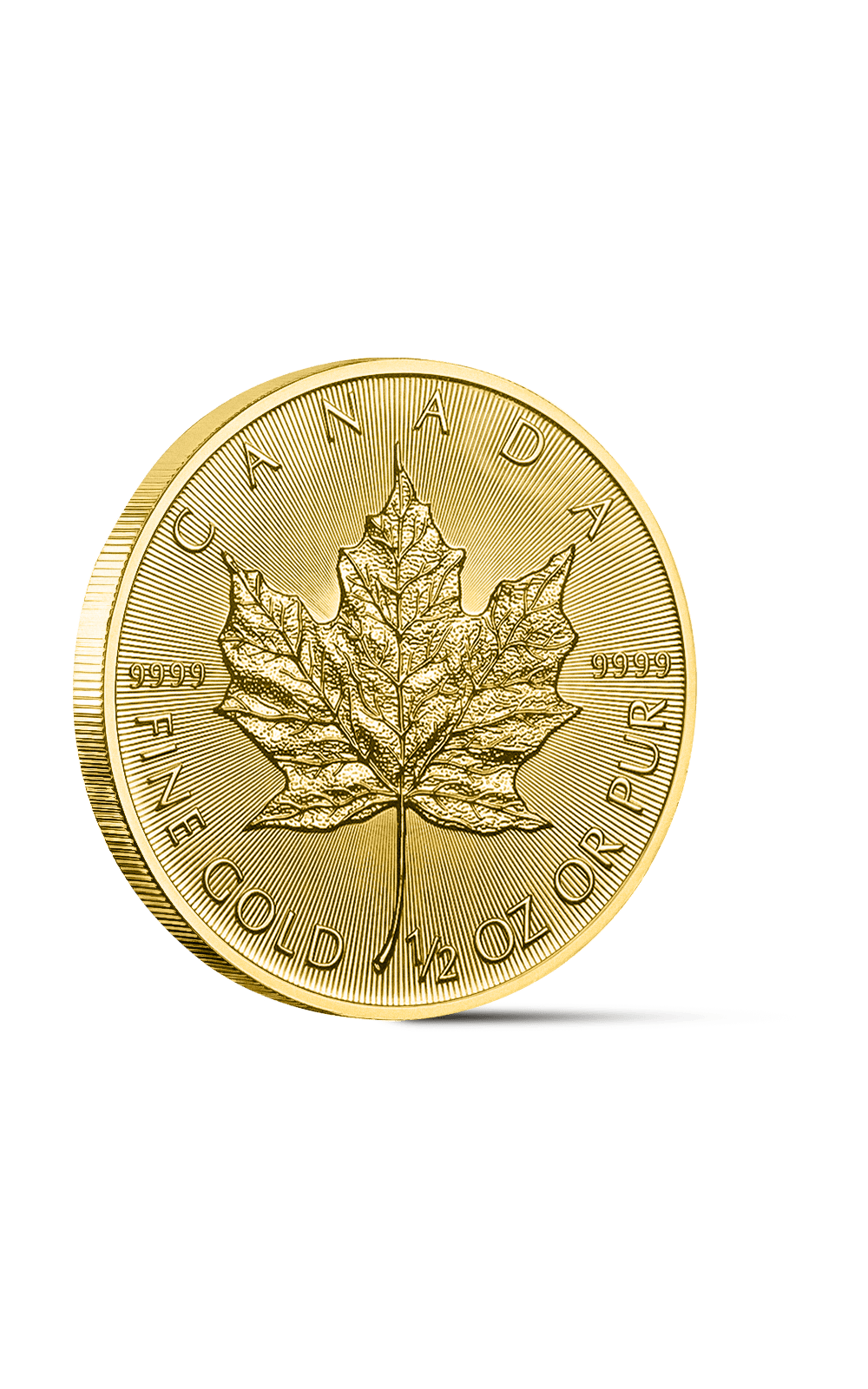 Pièce Maple Leaf 1/2 Once Or - GoldUnion