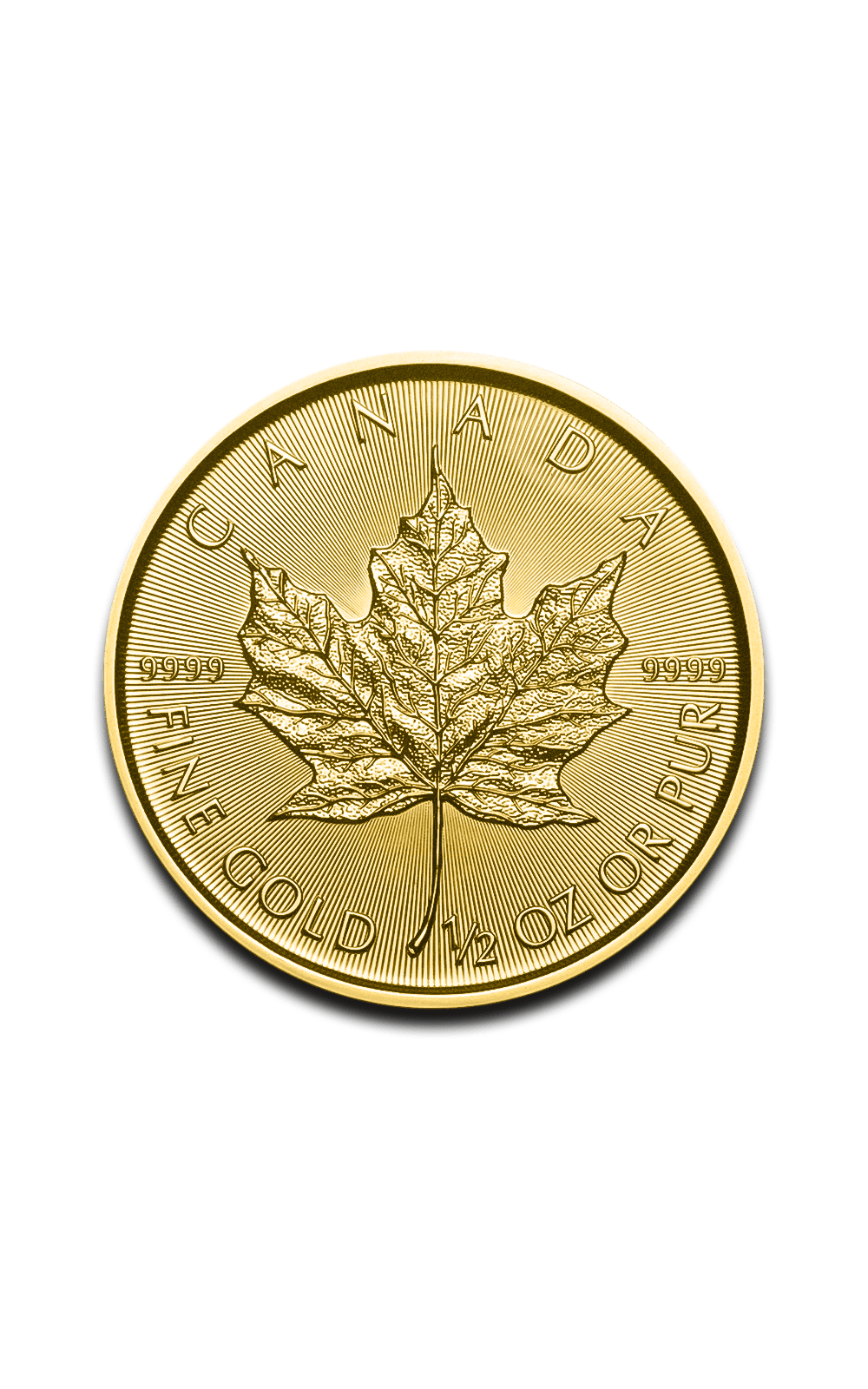 Pièce Maple Leaf 1/2 Once Or - GoldUnion