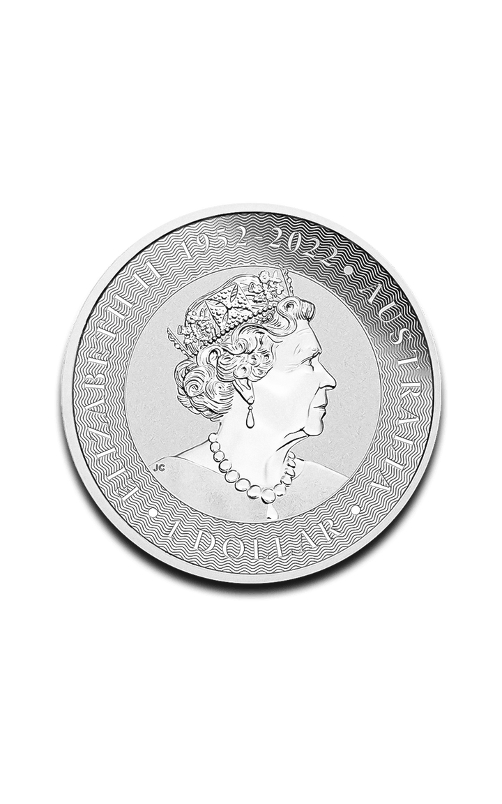 Pièce Nuggets 1 Once Argent - GoldUnion